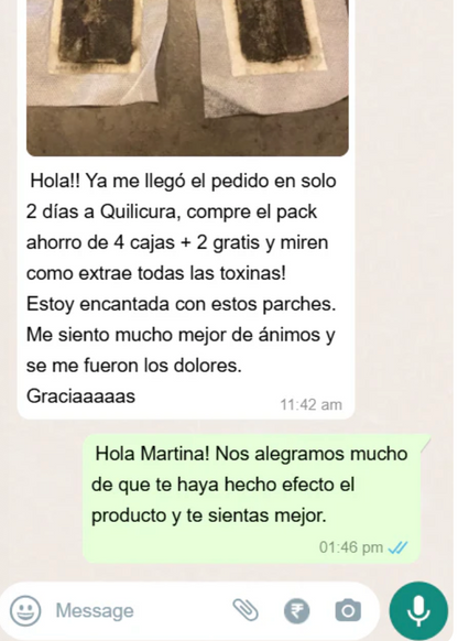 KINOKI 10 PARCHES DETOX PARA PIES