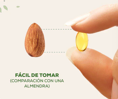 ACEITE DE OREGANO EN CAPSULSAS